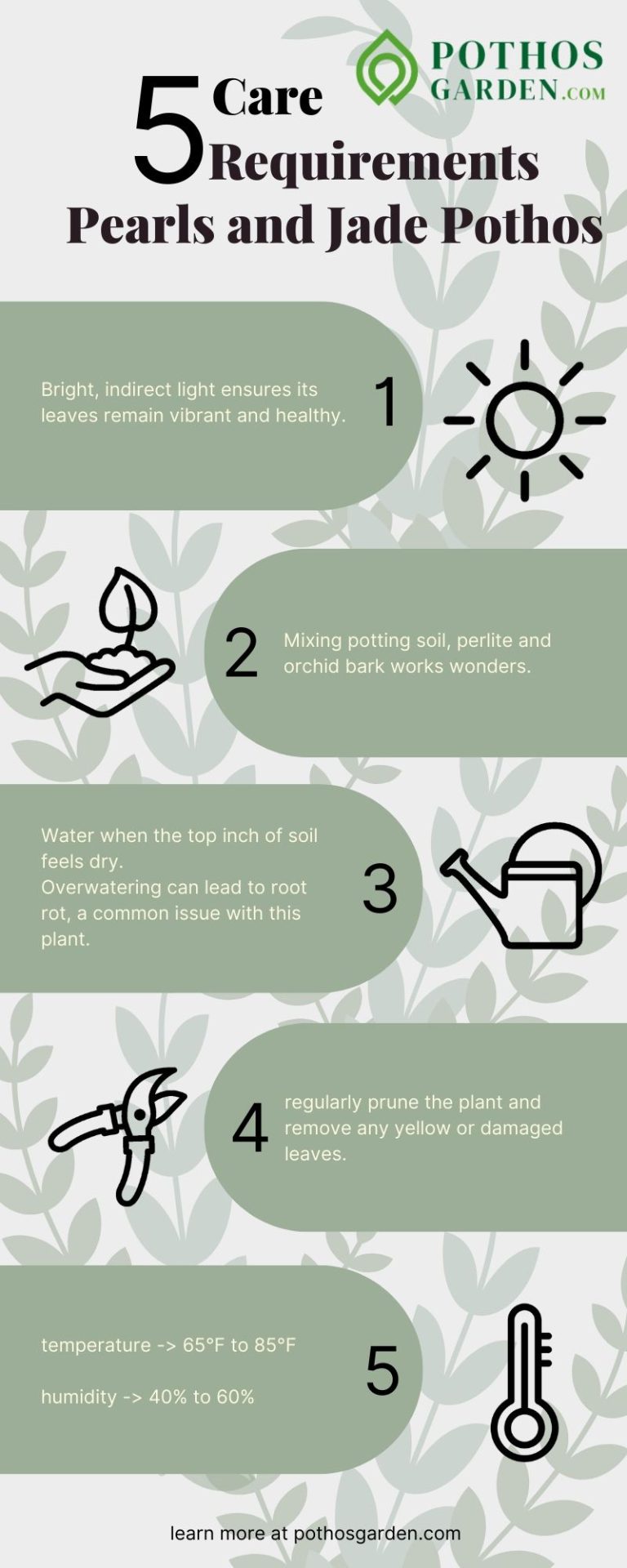 Pearls and Jade Pothos