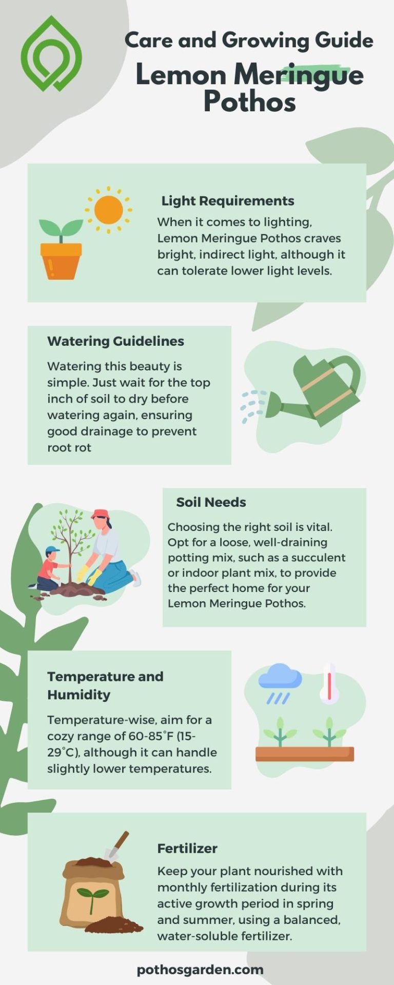 Care and Growing Guide Lemon Meringue Pothos