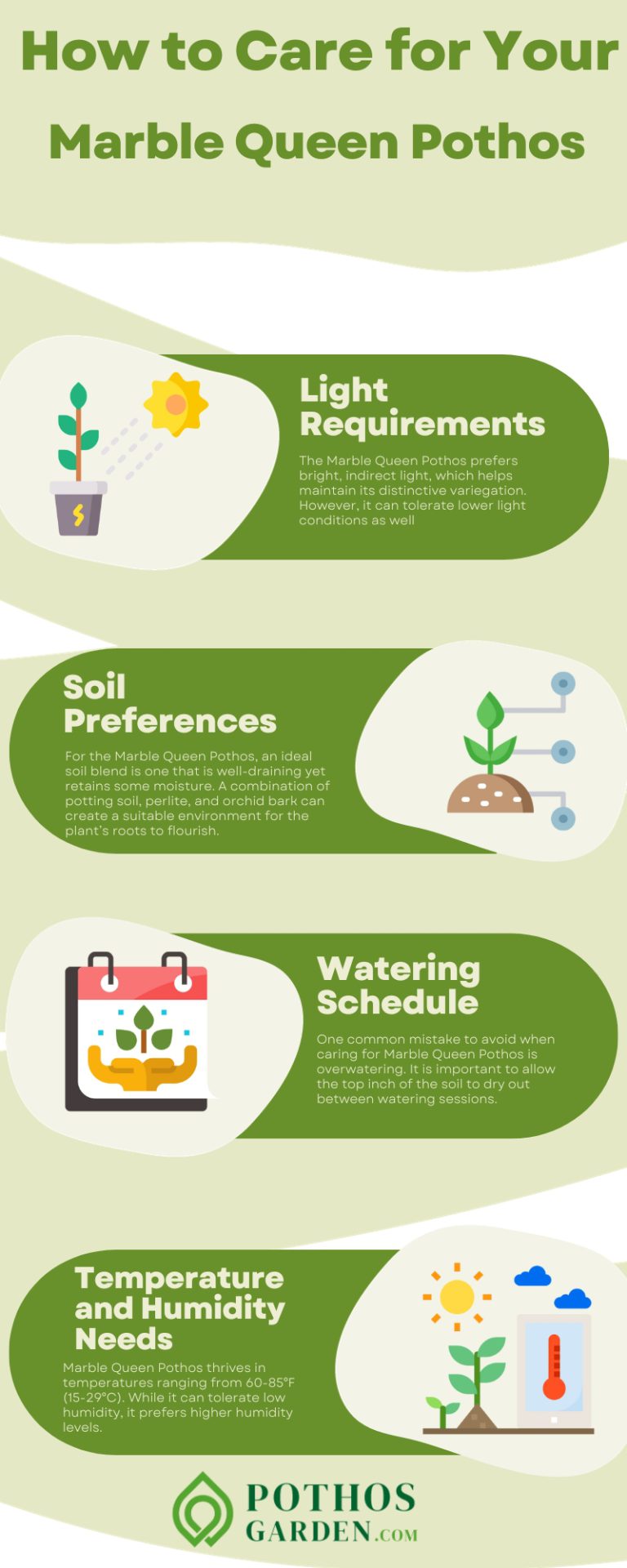 How to Care for Your Marble Queen Pothos