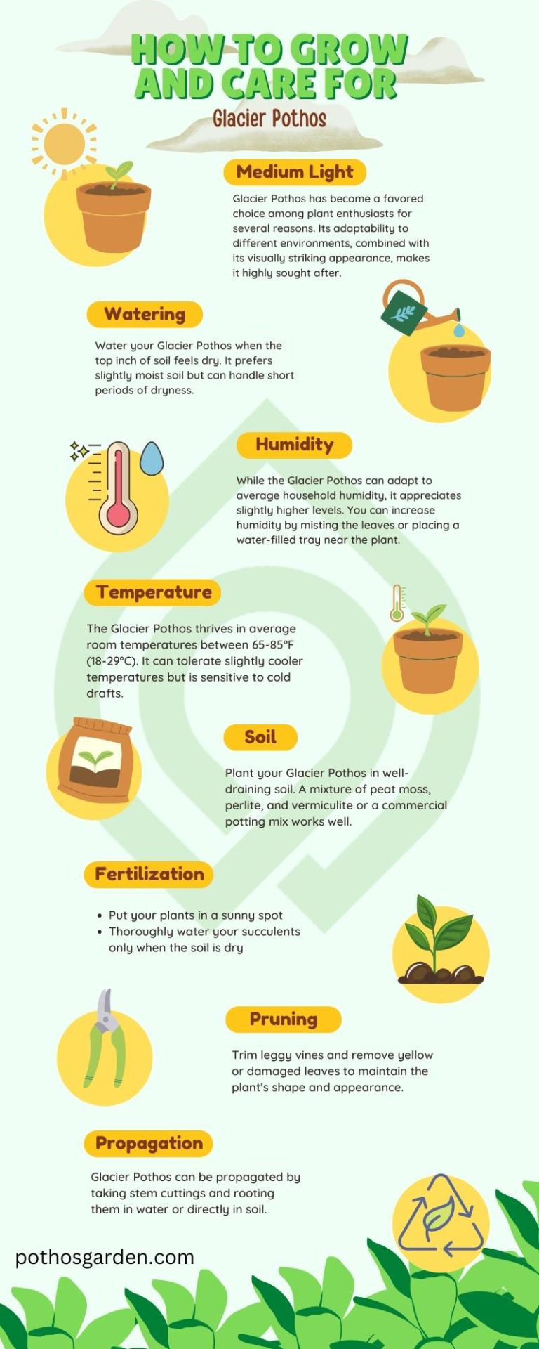 How to Grow and Care for Glacier Pothos