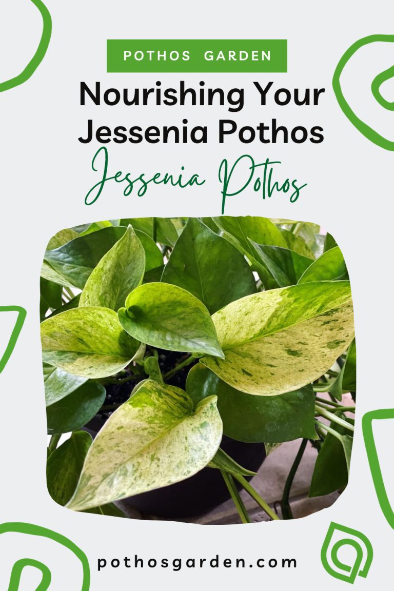Jessenia Pothos