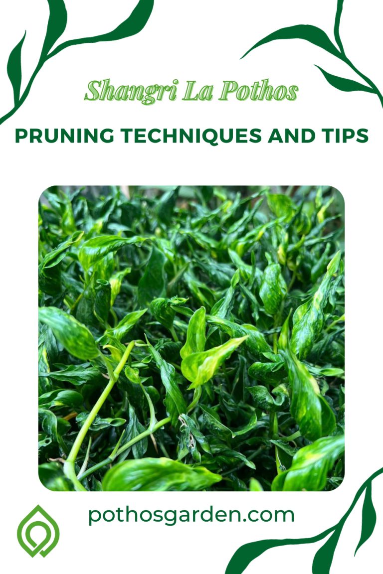 Pruning Techniques and Tips