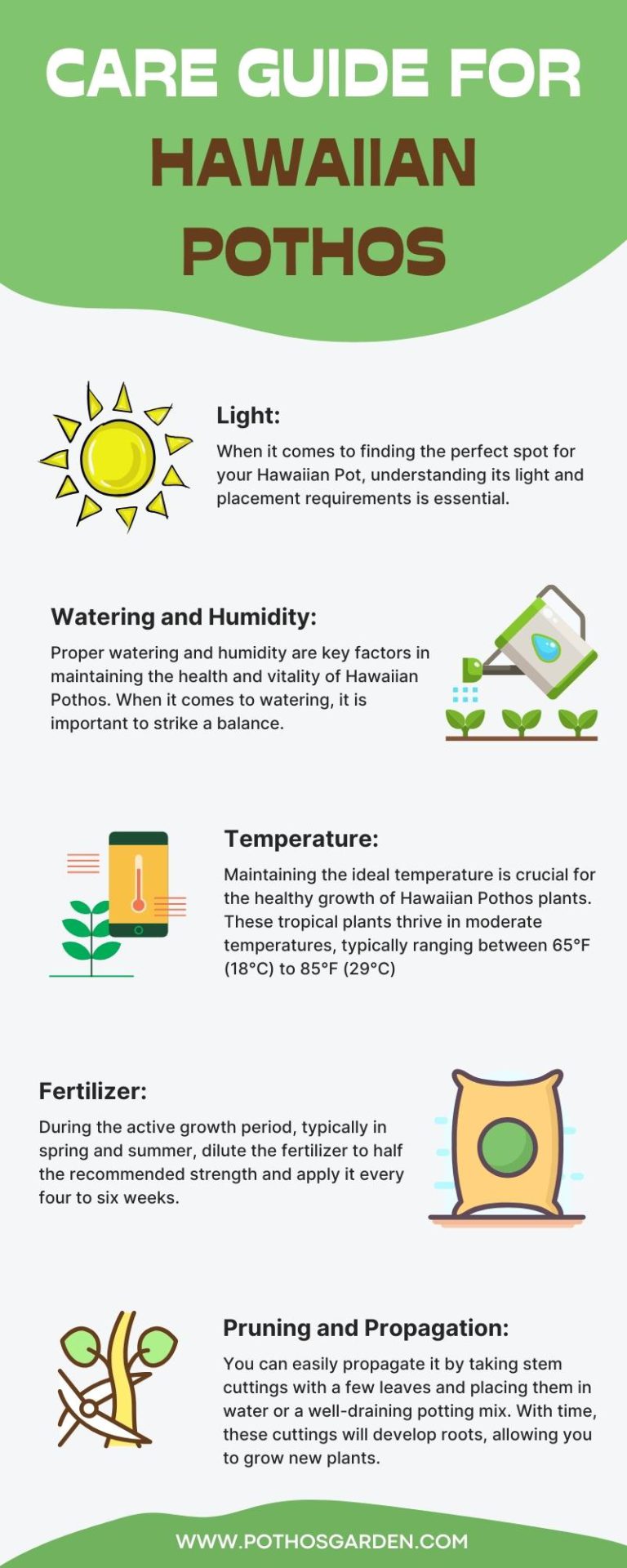 Care Guide for Hawaiian Pothos