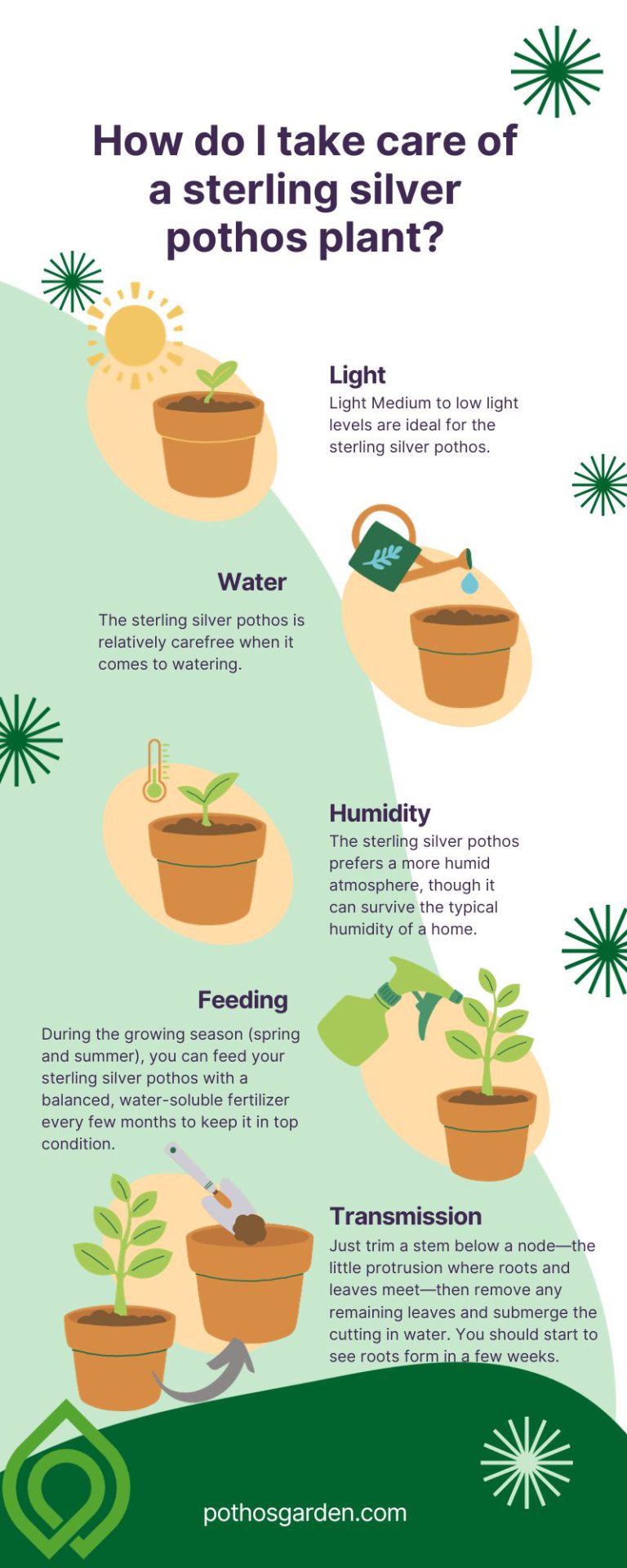 How do I take care of a sterling silver pothos plant?